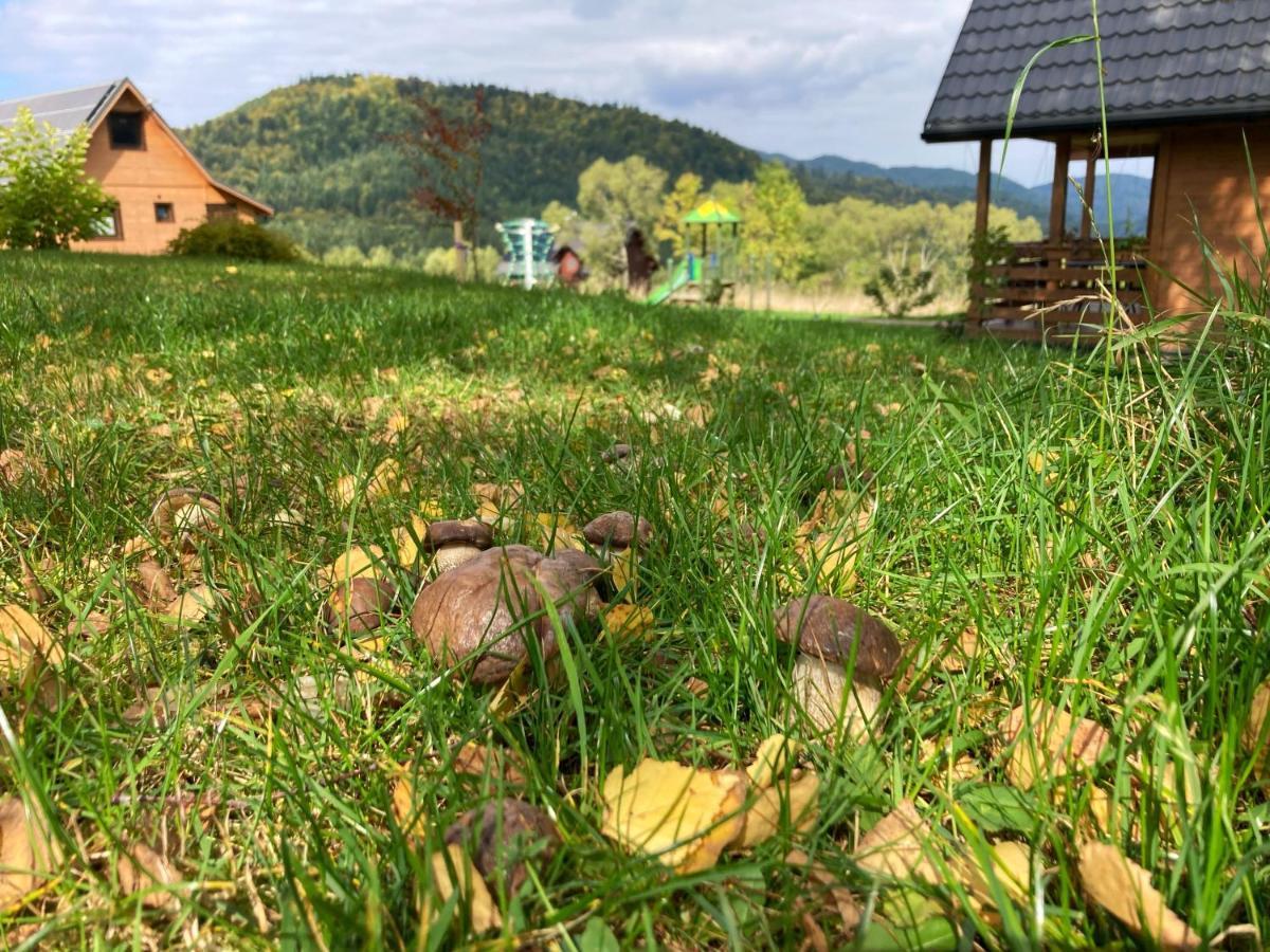 Holiday home Przystanek Krzywe Cisna