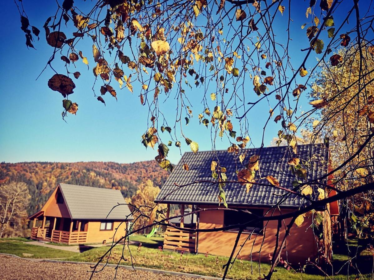Przystanek Krzywe Cisna