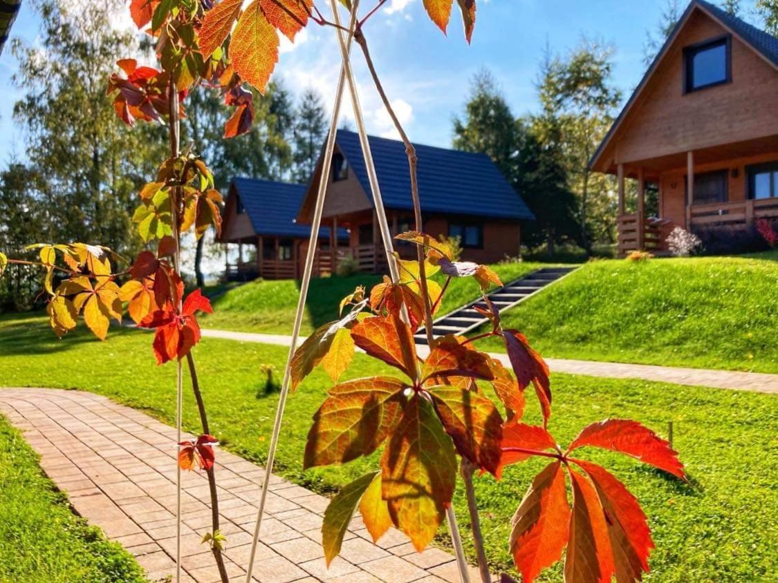 Przystanek Krzywe Holiday home Cisna